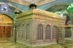 امام هشتم : مظهر مهربانی و عقلانیت