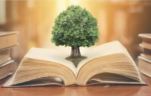 کتاب؛ پنجره‌ای رو به توسعه فردی و اجتماعی: چرا باید بیشتر بخوانیم؟