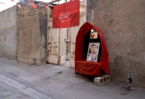 ببینید| کبوتر