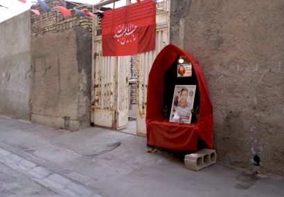ببینید| کبوتر